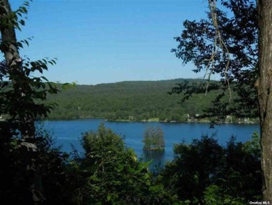  Acreage For Sale in Out Of Area Town New York