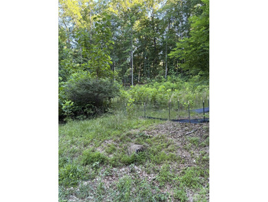 What a find! Unrestricted lot that has been partially cleared - photo 4