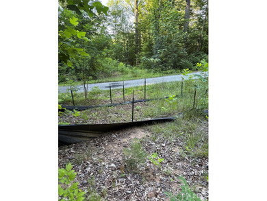 What a find! Unrestricted lot that has been partially cleared - photo 5