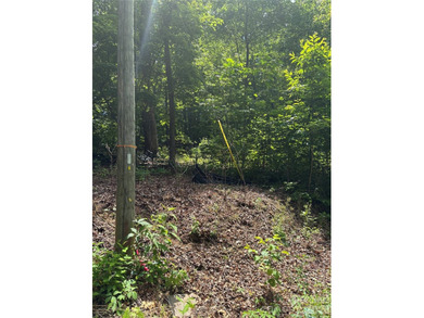 What a find! Unrestricted lot that has been partially cleared - photo 6