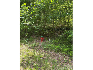 What a find! Unrestricted lot that has been partially cleared - photo 8