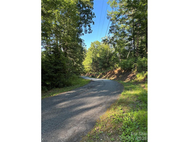 What a find! Unrestricted lot that has been partially cleared - photo 9