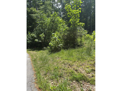 What a find! Unrestricted lot that has been partially cleared - photo 10