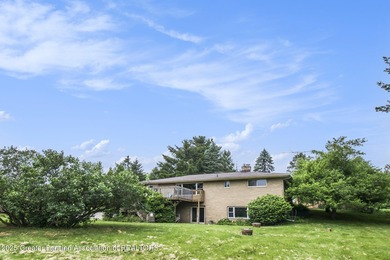 (private lake, pond, creek) Home For Sale in Eagle Michigan