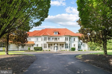 Just minutes from Great Falls Village, this gated Mediterranean - photo 8