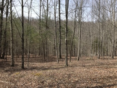 Freedom Lake  Acreage For Sale in Dunlap Tennessee