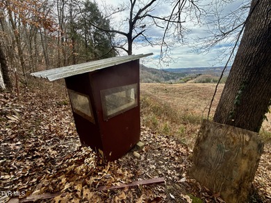 Located in the heart of Hancock County, this expansive 685 +/- - photo 5