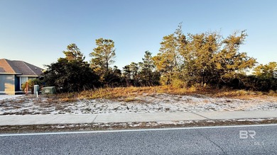 (private lake, pond, coastal) Lot For Sale in Orange Beach Alabama