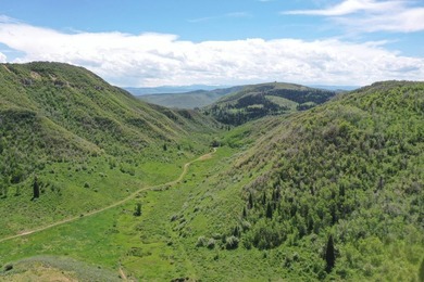 The Tow Creek Ranch is 619 +/- acres located 15 minutes west of - photo 1