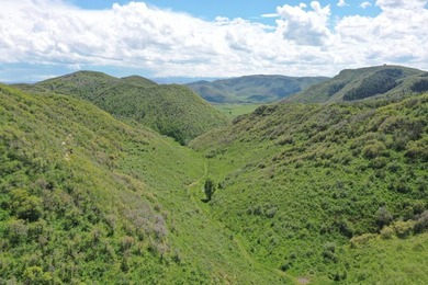 The Tow Creek Ranch is 619 +/- acres located 15 minutes west of - photo 2