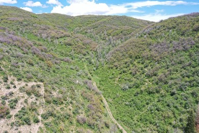 The Tow Creek Ranch is 619 +/- acres located 15 minutes west of - photo 3