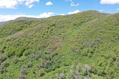 The Tow Creek Ranch is 619 +/- acres located 15 minutes west of - photo 4