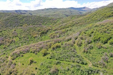 The Tow Creek Ranch is 619 +/- acres located 15 minutes west of - photo 5