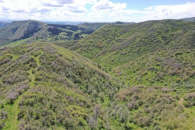 The Tow Creek Ranch is 619 +/- acres located 15 minutes west of - photo 6