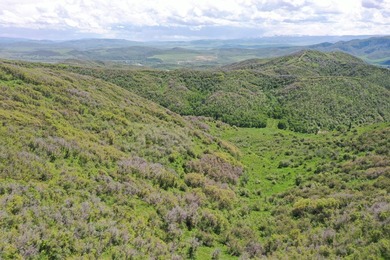 The Tow Creek Ranch is 619 +/- acres located 15 minutes west of - photo 7