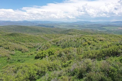 The Tow Creek Ranch is 619 +/- acres located 15 minutes west of - photo 8