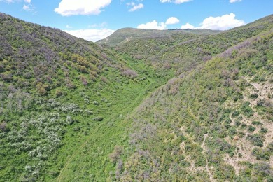 The Tow Creek Ranch is 619 +/- acres located 15 minutes west of - photo 9