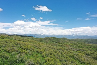 The Tow Creek Ranch is 619 +/- acres located 15 minutes west of - photo 10