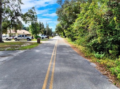 Perfect spot for your new single-family residence or tiny home! - photo 1