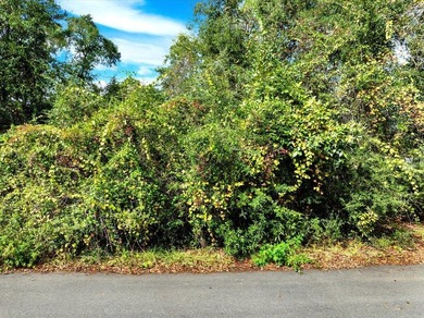 Perfect spot for your new single-family residence or tiny home! - photo 3