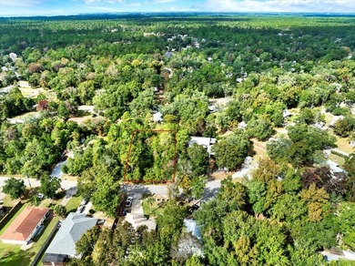 Perfect spot for your new single-family residence or tiny home! - photo 9