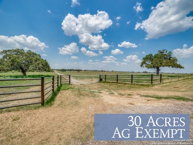 30 Acres with Ag Exemption - Ideal for Ranching, Farming, or