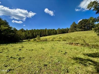 (private lake, pond, creek) Acreage For Sale in Hartford Tennessee