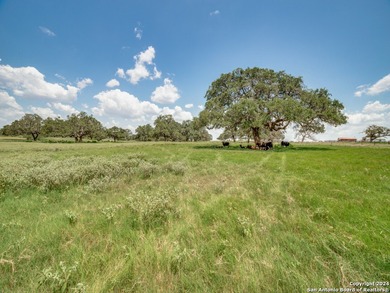 30 Acres with Ag Exemption - Ideal for Ranching, Farming, or
