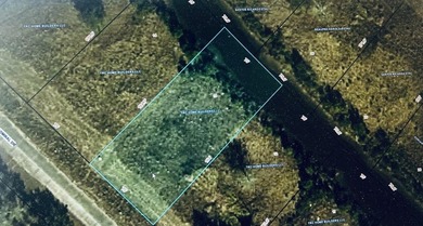 Gorgeous waterfront lot in Bay St. Louis just waiting for your - photo 4