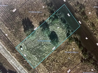 Gorgeous waterfront lot in Bay St. Louis just waiting for your - photo 4