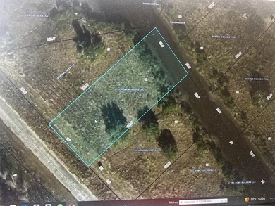 Gorgeous waterfront lot in Bay St. Louis just waiting for your - photo 4