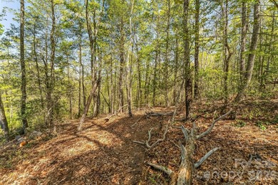 Gently sloping interior lot with winter and possible year round - photo 12