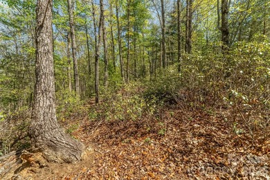 Gently sloping interior lot with winter and possible year round - photo 13