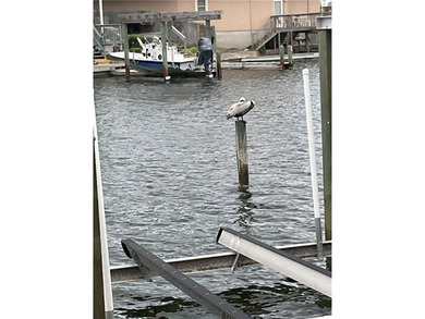 Owner financing at below market rates, (wac) greatly reduced - photo 16