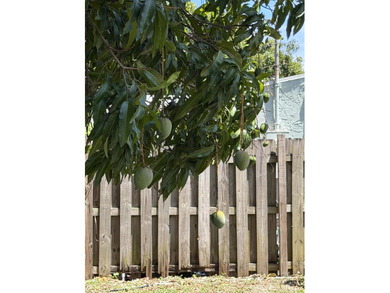 Come see this charming and nicely renovated single family home - photo 21