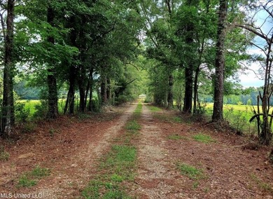 24 ACRES OF GENTLE ROLLING HILLS ON CLEARED LAND. THE HOUSE IS - photo 1