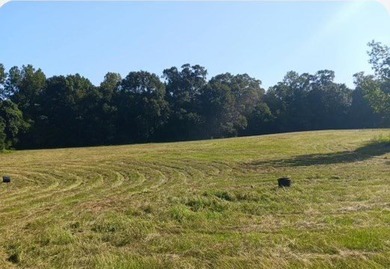 24 ACRES OF GENTLE ROLLING HILLS ON CLEARED LAND. THE HOUSE IS - photo 2