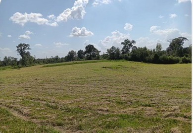24 ACRES OF GENTLE ROLLING HILLS ON CLEARED LAND. THE HOUSE IS - photo 3