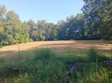 24 ACRES OF GENTLE ROLLING HILLS ON CLEARED LAND. THE HOUSE IS - photo 5