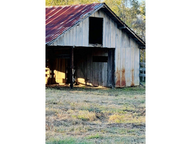 24 ACRES OF GENTLE ROLLING HILLS ON CLEARED LAND. THE HOUSE IS - photo 6