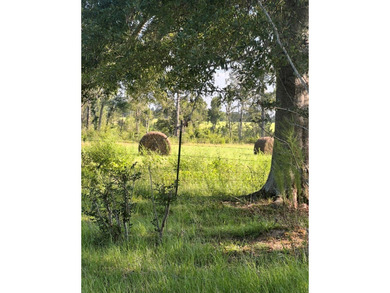 24 ACRES OF GENTLE ROLLING HILLS ON CLEARED LAND. THE HOUSE IS - photo 7
