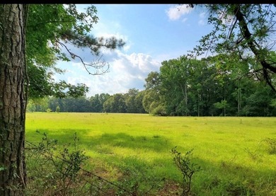 24 ACRES OF GENTLE ROLLING HILLS ON CLEARED LAND. THE HOUSE IS - photo 9