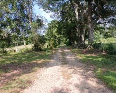 24 ACRES OF GENTLE ROLLING HILLS ON CLEARED LAND. THE HOUSE IS - photo 10
