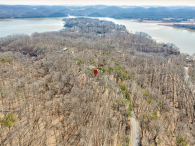Nearly 1 Acre Building Lot in Cherokee Lake Subdivision - Lake Lot For Sale in Mooresburg, Tennessee