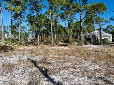 Best value on the coast for a deep water, southern exposure - photo 6