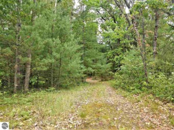 Forest Lake - Arenac County Lot Sale Pending in Alger Michigan