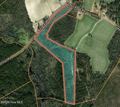 Discover approximately 20 beautiful wooded acres on Bull Tail - photo 1