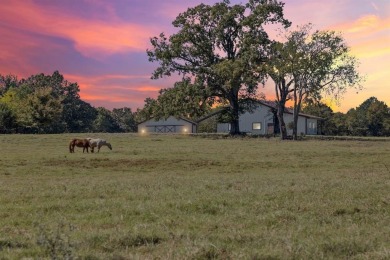 (private lake, pond, creek) Acreage For Sale in Mount Vernon Texas