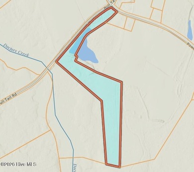 Discover approximately 20 beautiful wooded acres on Bull Tail - photo 2