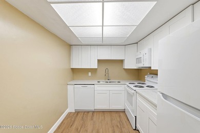 Updated and move-in ready, this spacious 3-bedroom, 2-full-bath - photo 11